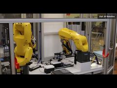 ফ্যানুক